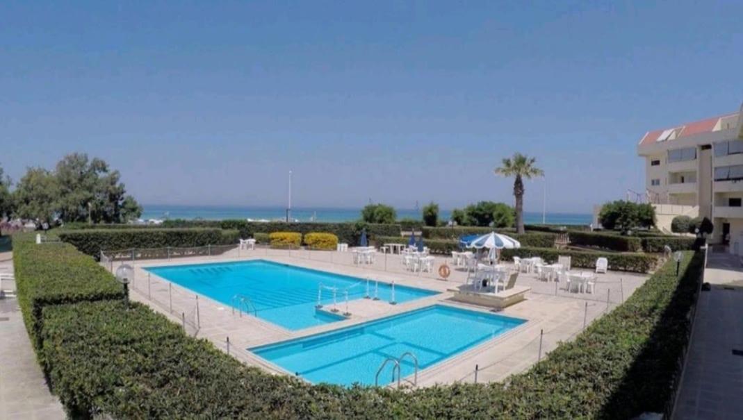 Zibibbo -
